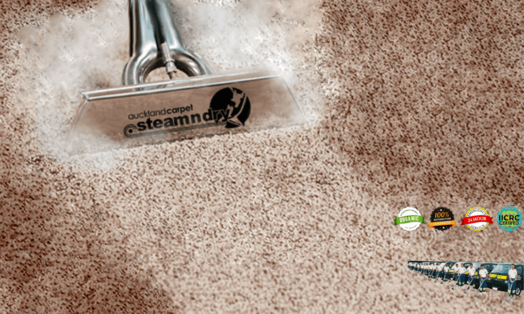 Carpet Cleaning Auckland