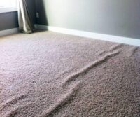 Carpet Care Matters!