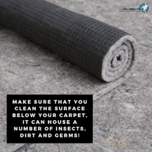 Carpet Cleaning Tip With Precaution Carpet Cleaning Tip With Precaution