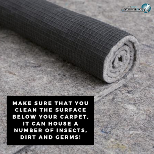 Carpet Cleaning Tip With Precaution