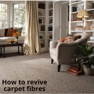 How To Revive Carpet Fibres