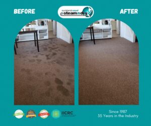 Expert Water Stain Removal