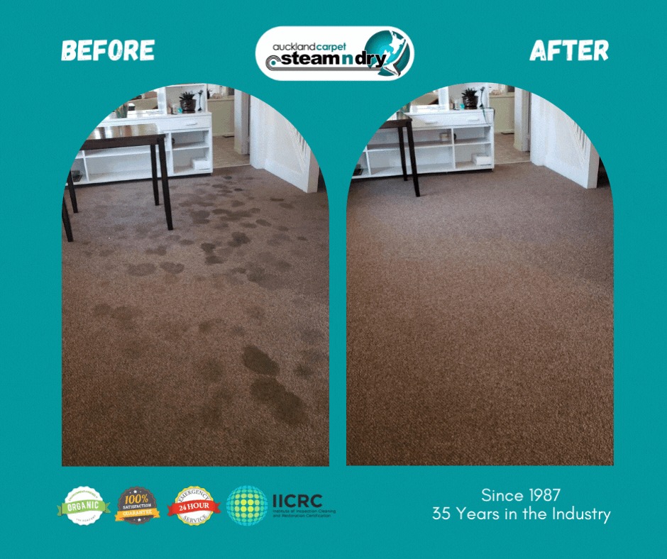 Expert Water Stain Removal
