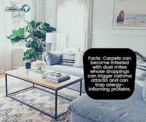 Do Dust Mites Live on Carpet? Do Dust Mites Live on Carpet?
