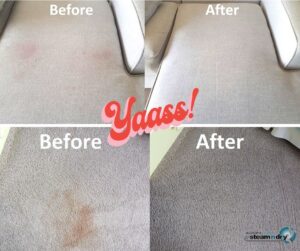 Benefits of Expert Upholstery and Carpet Cleaning in Auckland