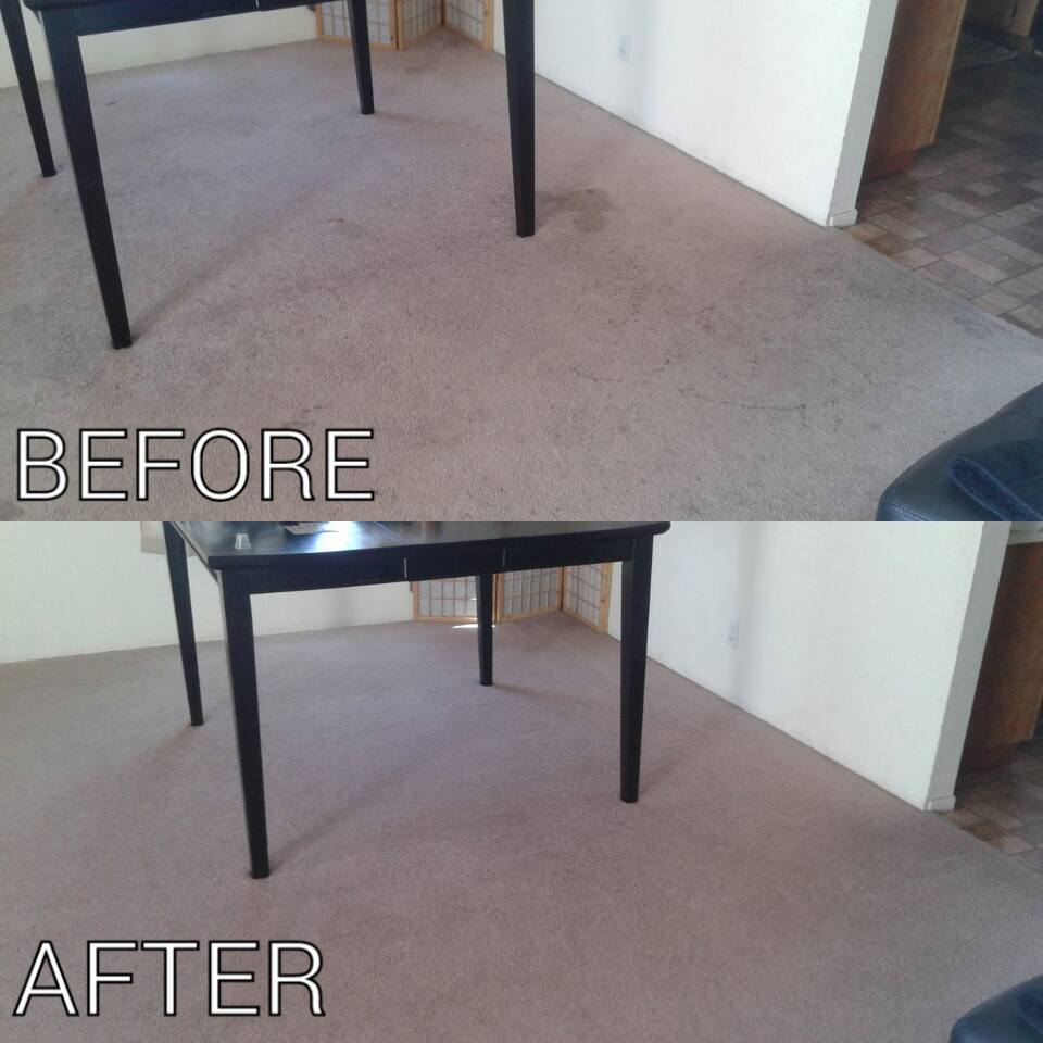Carpet cleaning before and after client 2