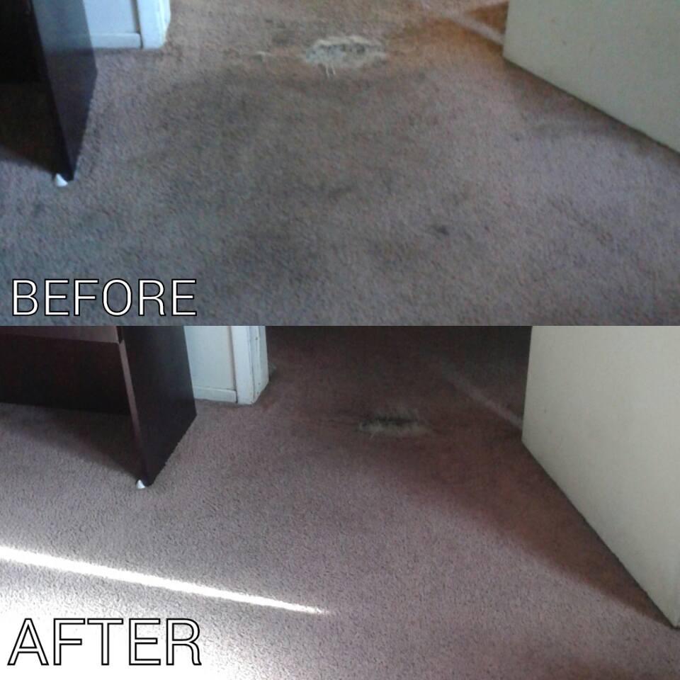 Carpet cleaning restoration before and after