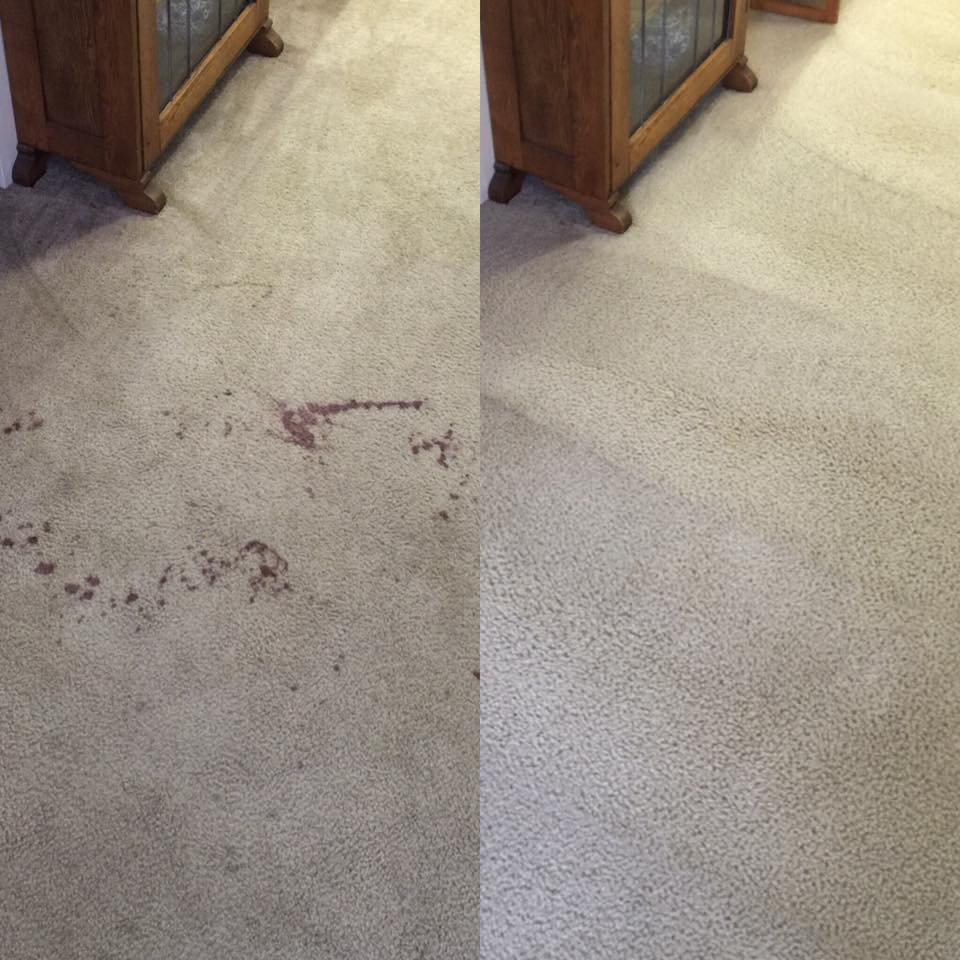 Carpet stain removal