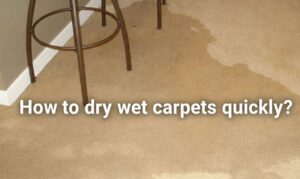 How To Dry Wet Carpets Quickly