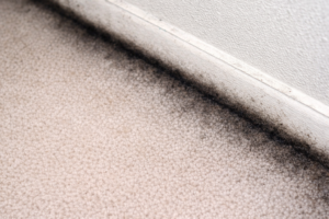 What Causes Black Edges On Carpets?