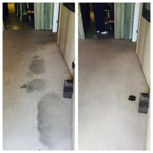 How To Remove Water Stains From Carpet